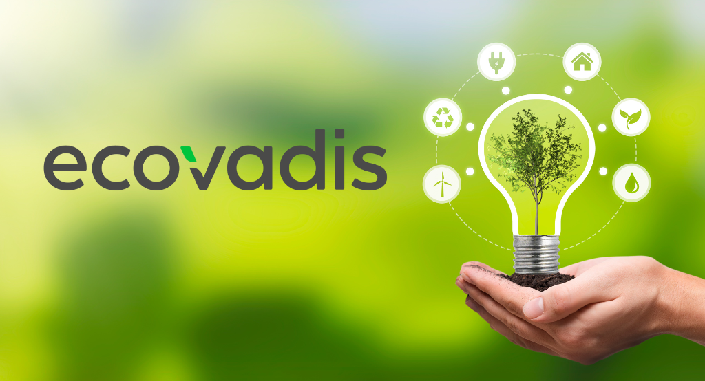 Introducing Ecovadis: Our Commitment to Sustainability